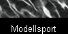 Modellsport
